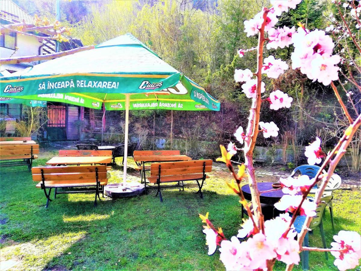 Leyla Guesthouse Castel Брашов Екстериор снимка