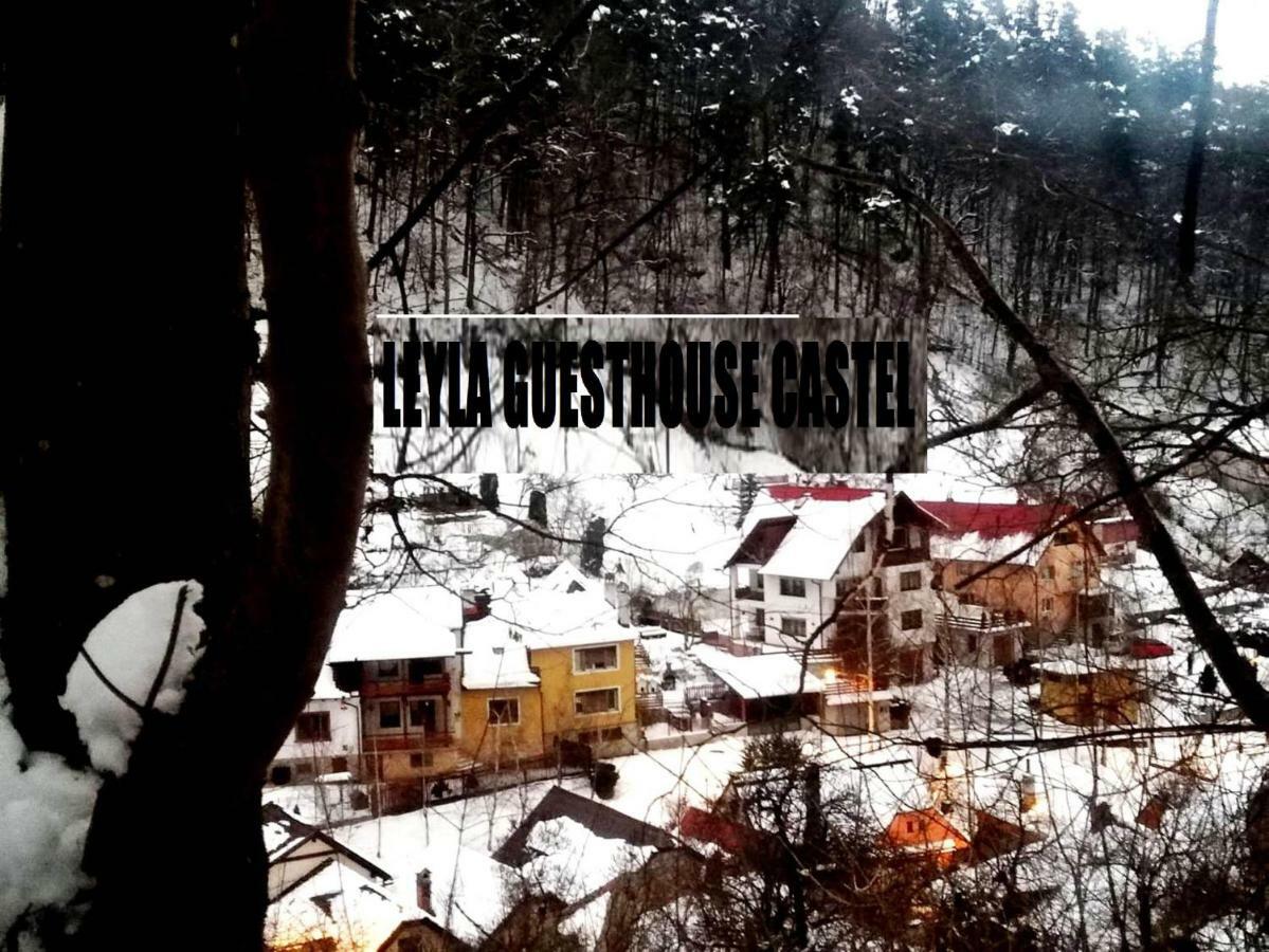 Leyla Guesthouse Castel Брашов Екстериор снимка