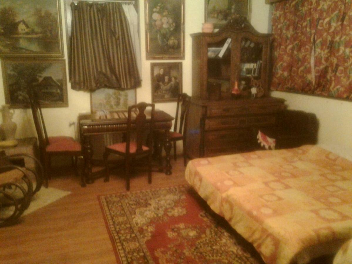 Leyla Guesthouse Castel Брашов Екстериор снимка