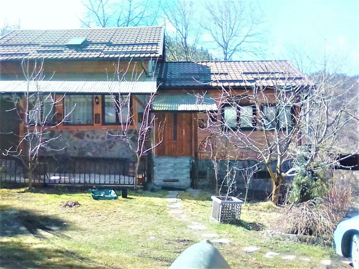Leyla Guesthouse Castel Брашов Екстериор снимка