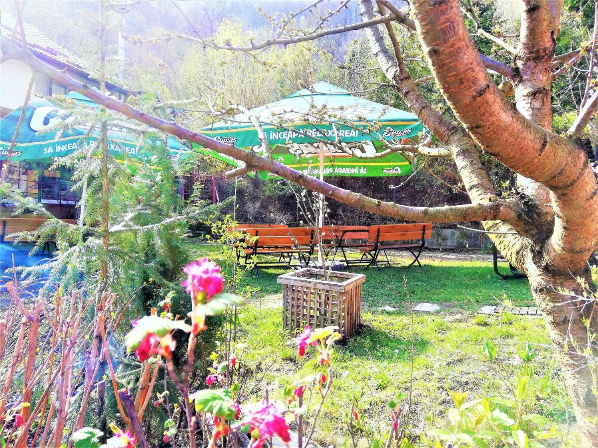 Leyla Guesthouse Castel Брашов Екстериор снимка