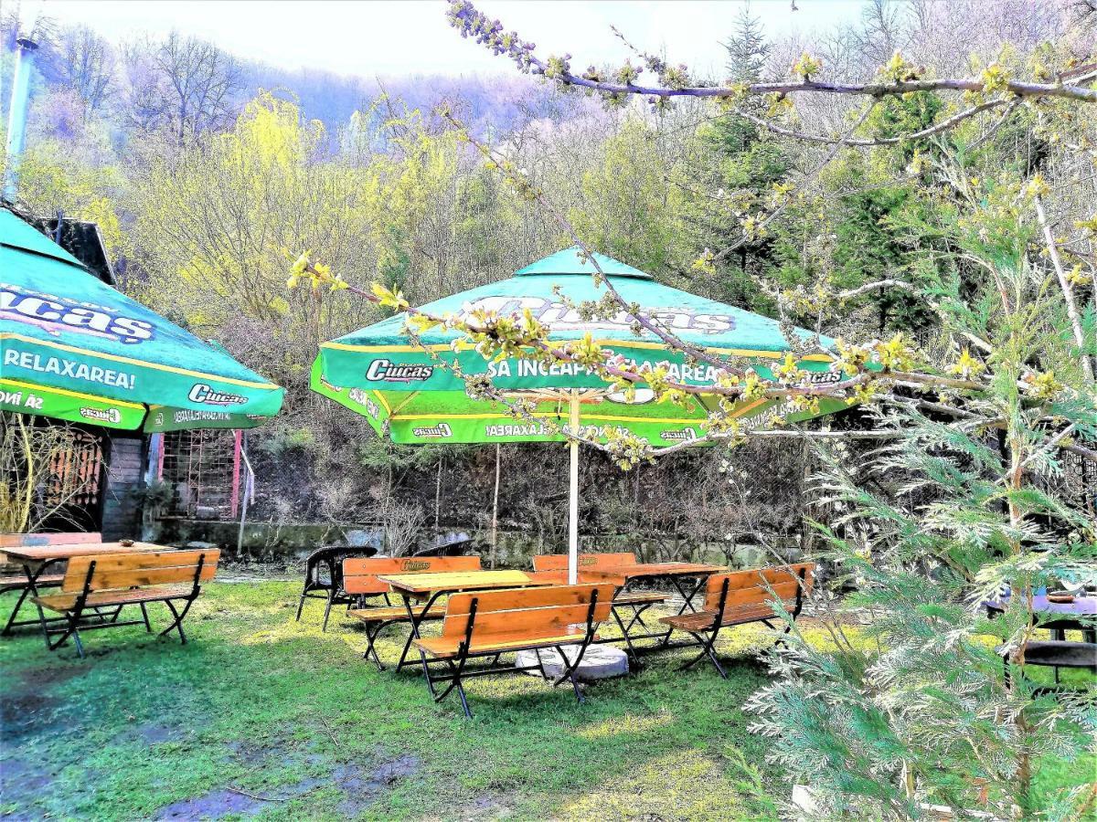 Leyla Guesthouse Castel Брашов Екстериор снимка