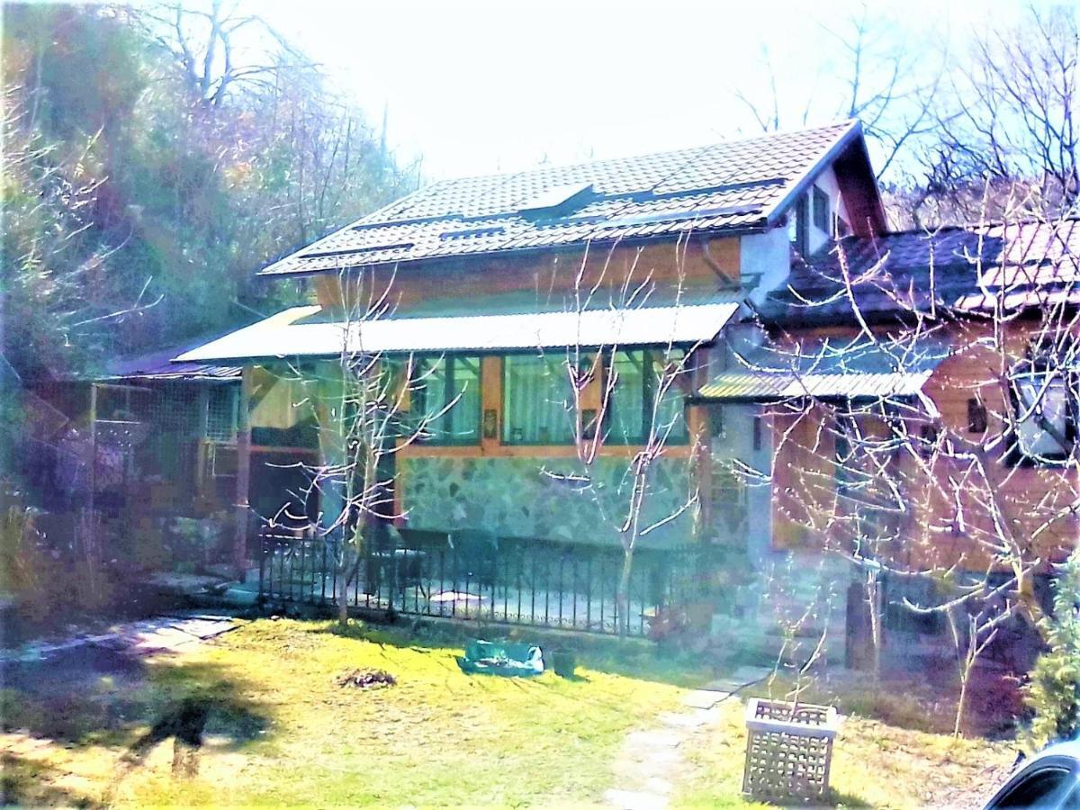 Leyla Guesthouse Castel Брашов Екстериор снимка