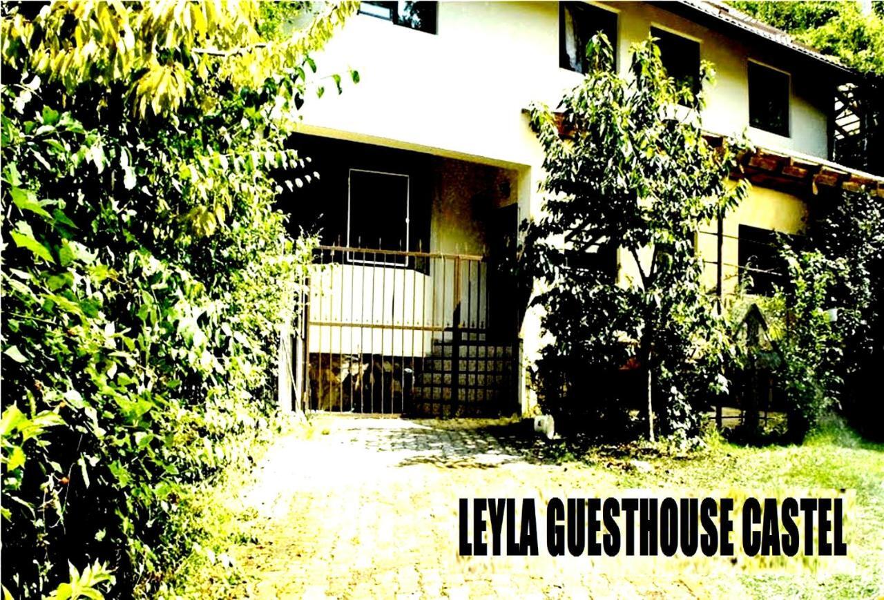 Leyla Guesthouse Castel Брашов Екстериор снимка