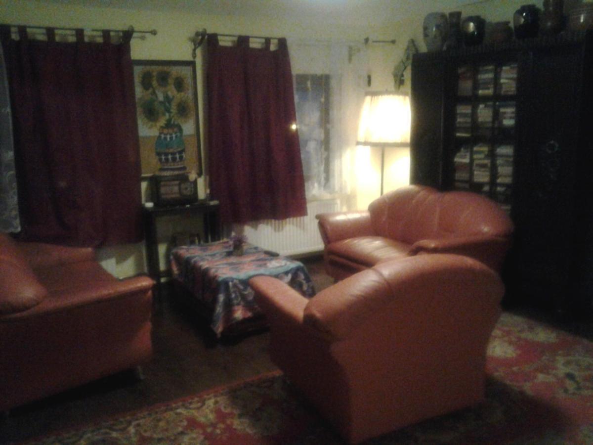 Leyla Guesthouse Castel Брашов Екстериор снимка